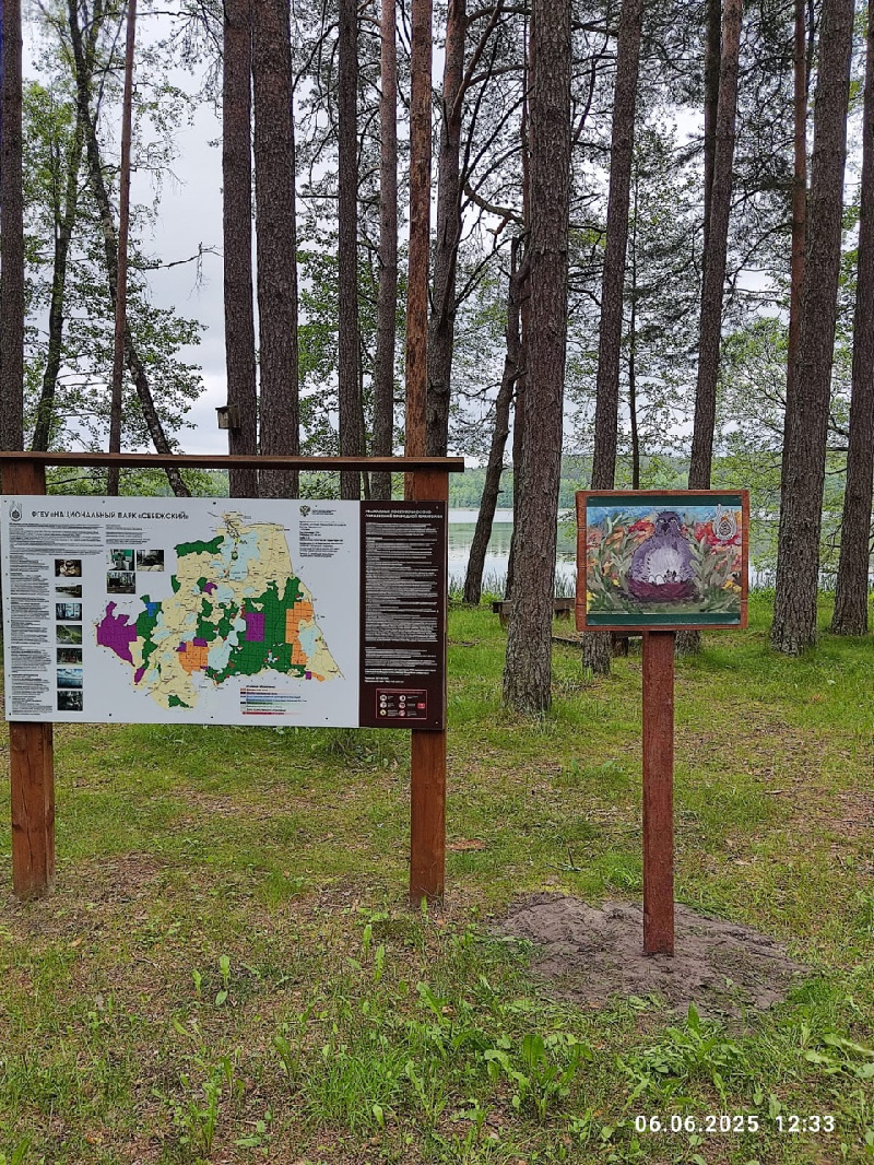 Рисунки юных художников