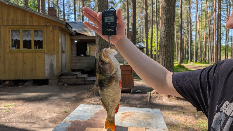 Завершается очередная совместная ихтиологическая экспедиция сотрудников национального парка Себежский и кафедры ихтиологии МГУ