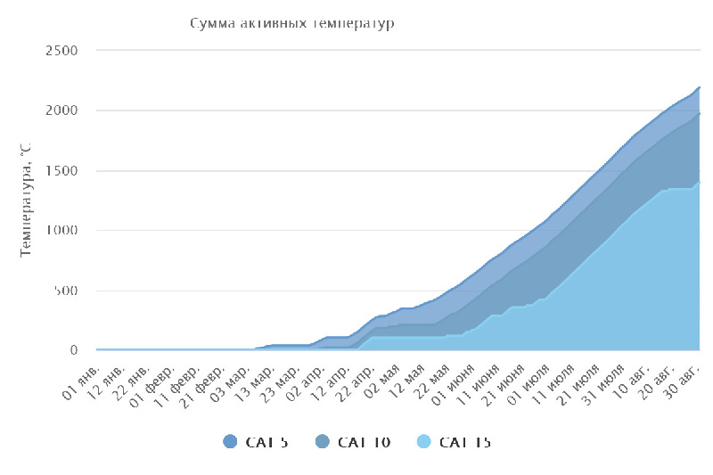 Подведены итоги мониторинга погодных условий за август 2025 года