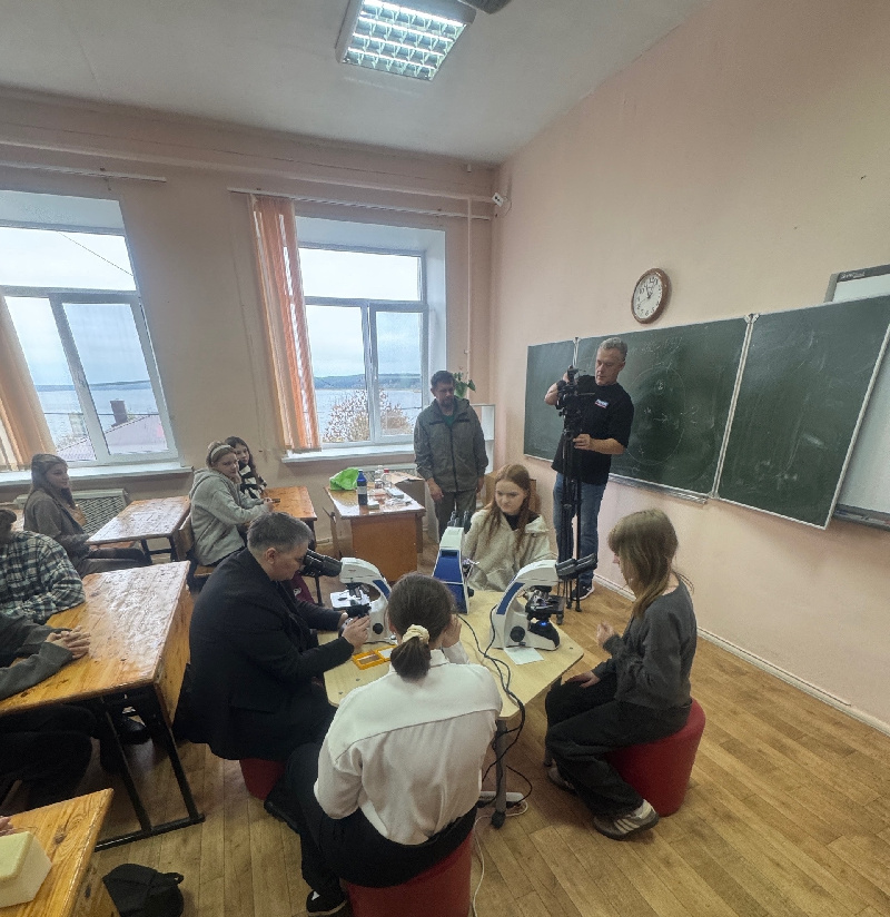 Погружение в мир хромосом