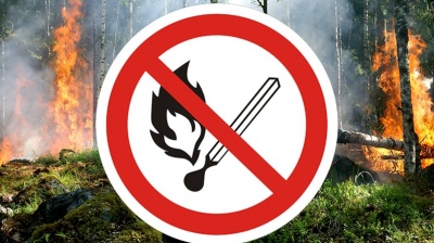ВНИМАНИЕ! Пожарная опасность в лесах!