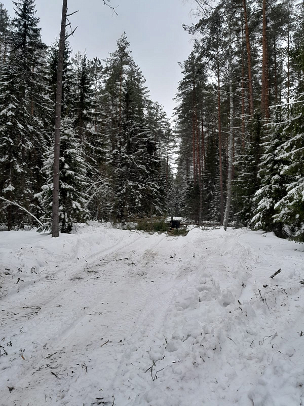 Санитарно-оздоровительные мероприятия