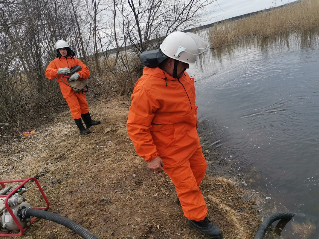 На территории Национального парка «Себежский» проводятся мероприятия по профилактике и предупреждению лесных пожаров