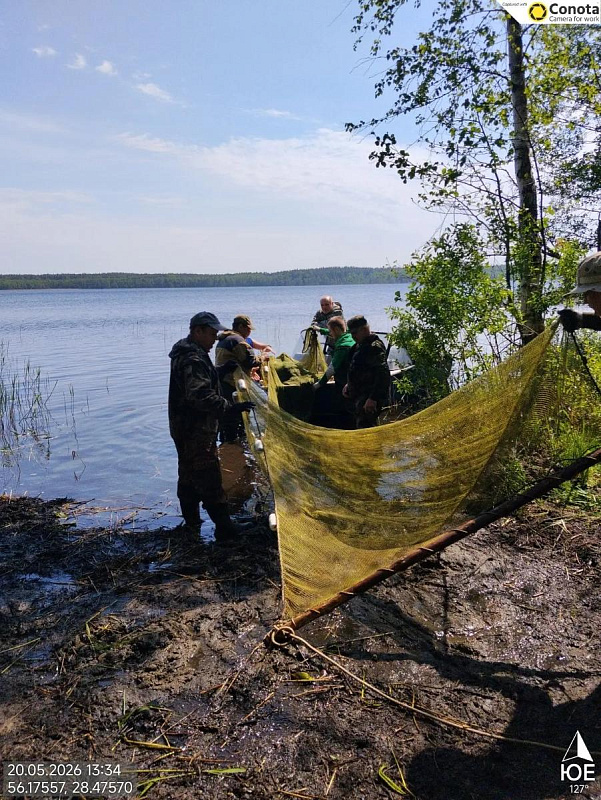 Очередная ихтиологическая экспедиция, реализуемая в рамках гранта Президентского Фонда Природы, завершила свою работу на водоёмах национального парка «Себежский»